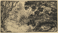 KG 18103
<br/>
Boslandschap in Zuid-Afrika
<br/>
<em>Nachenius, Jan Coenraad (1890-1987)</em>